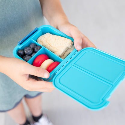 Bento Two Snack Box | Coastal