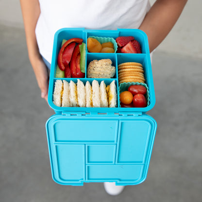 Bento Five Lunch Box | Coastal