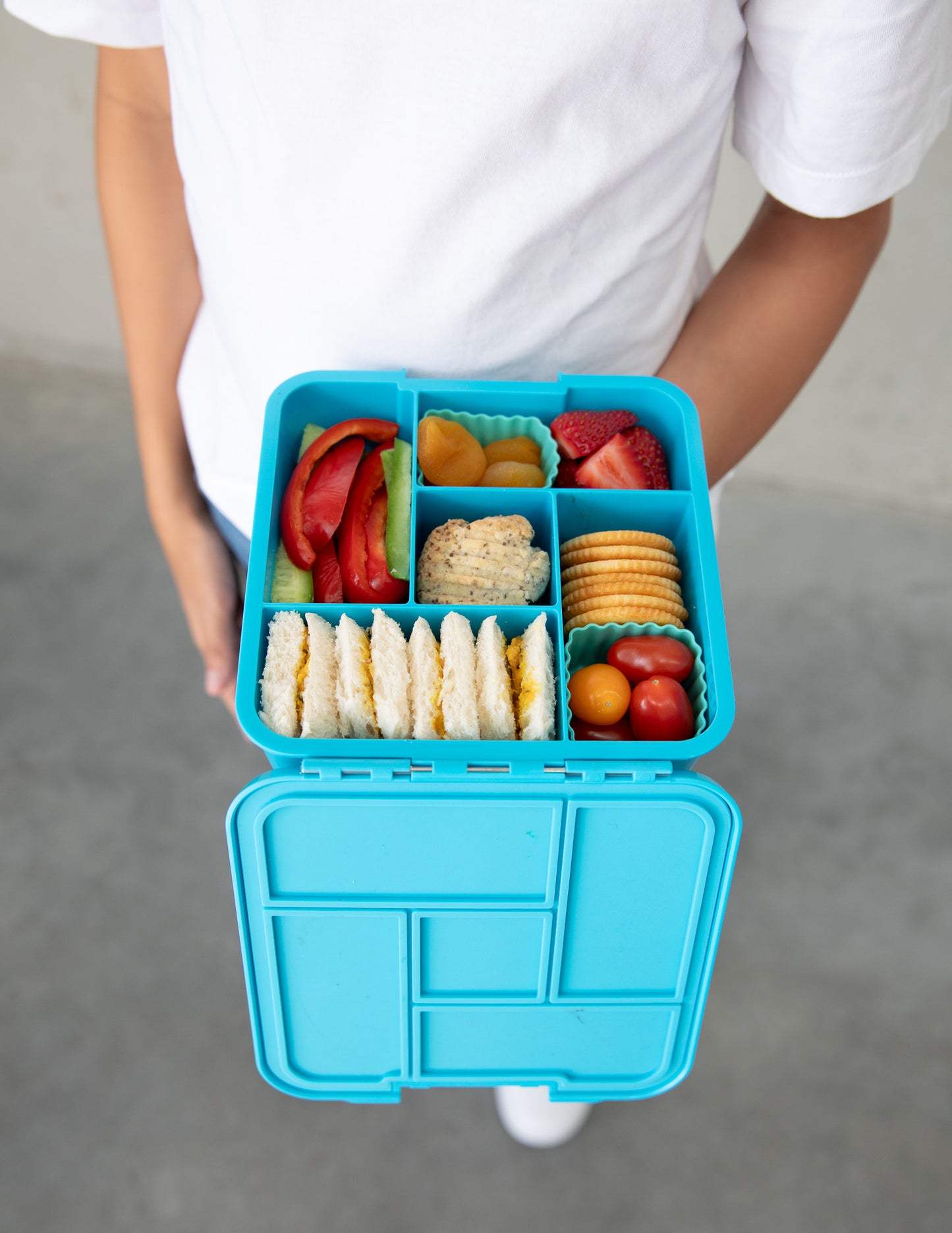 Bento Five Lunch Box | Coastal