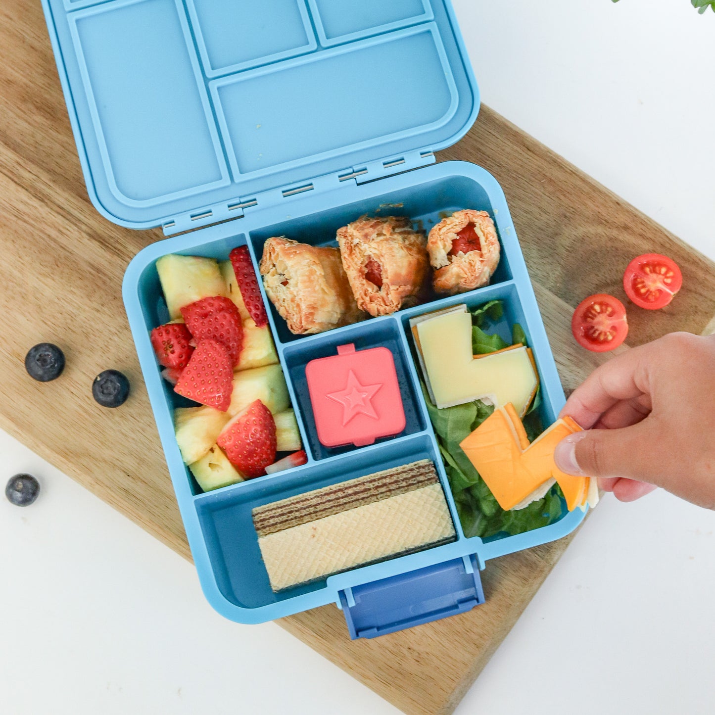 Bento Five Lunch Box | Coastal