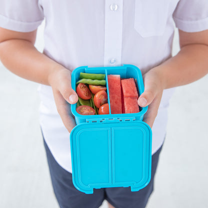 Bento Two Snack Box | Coastal