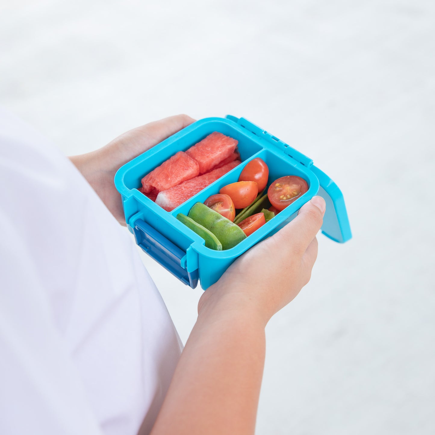 Bento Two Snack Box | Coastal