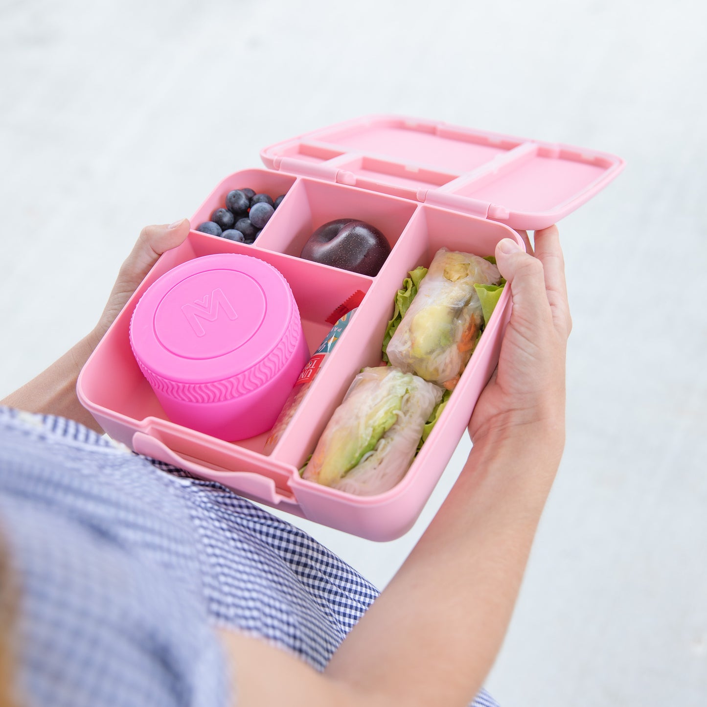 Feast Bento Lunch Box | Dahlia