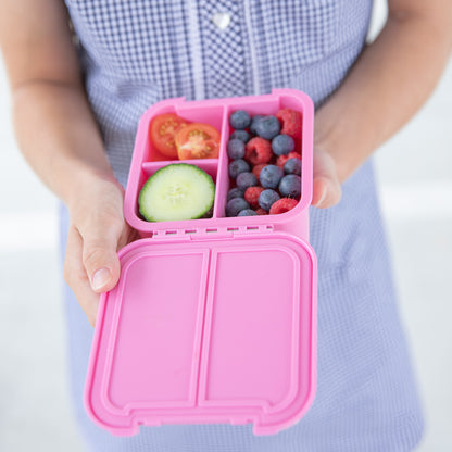 Bento Two Snack Box | Floss