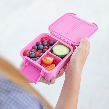 Bento Two Snack Box | Floss