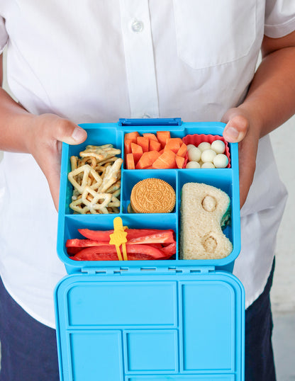 Bento Five Lunch Box | Coastal