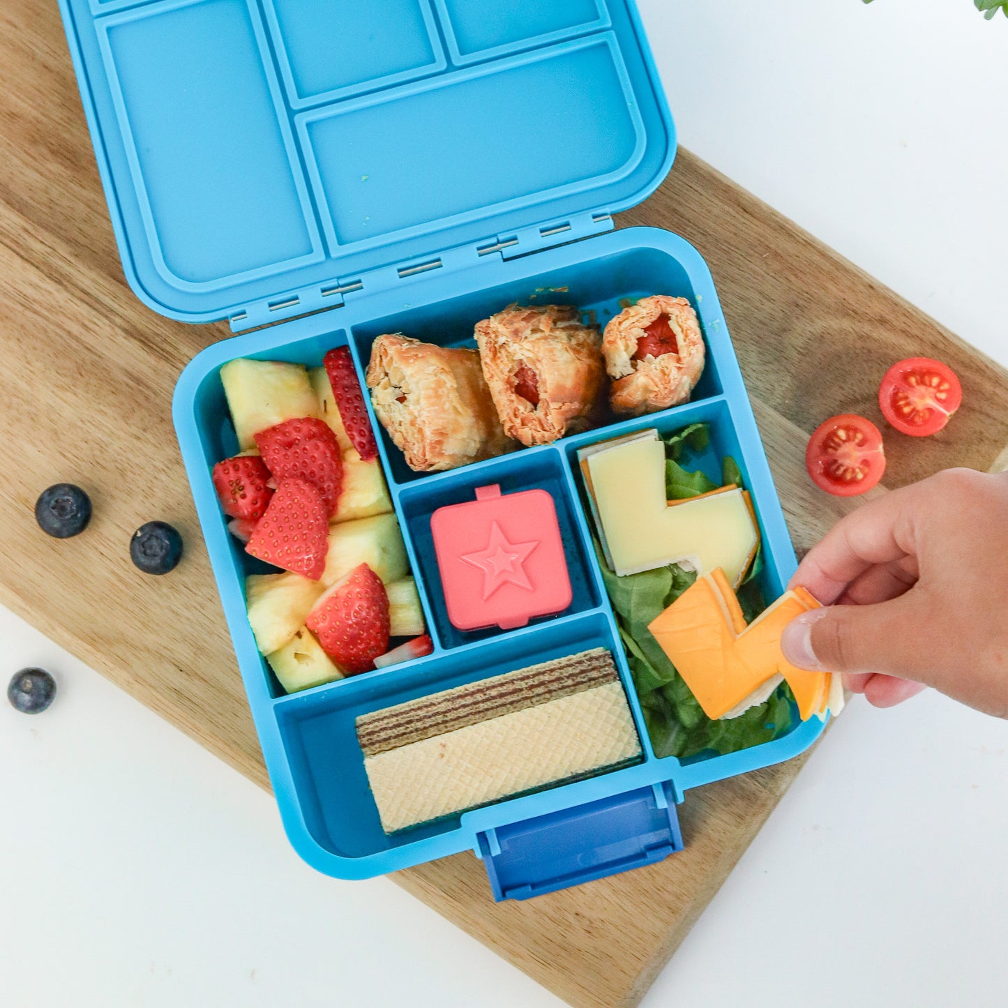 Bento Five Lunch Box | Coastal