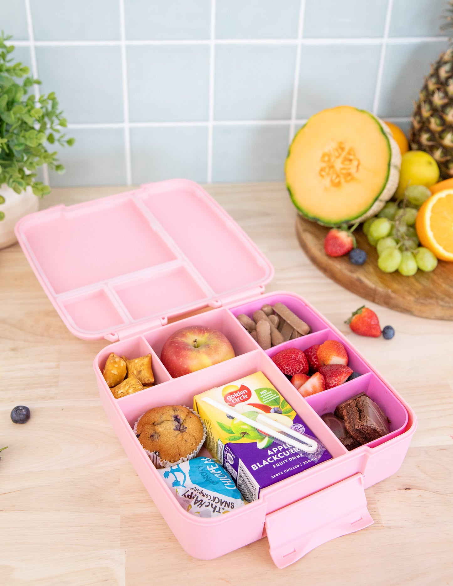 Feast Bento Lunch Box | Dahlia