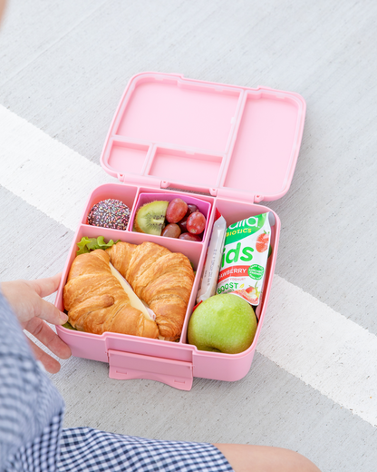 Feast Bento Lunch Box | Dahlia