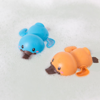 Bath Racers - Platypus